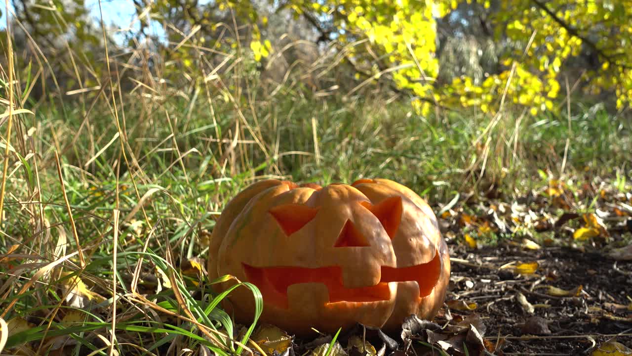 Upiorna dynia halloweenowa. Nagrywanie w październiku