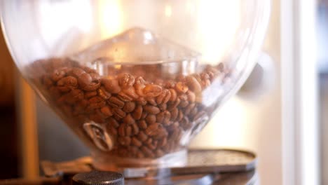 coffee beans in grinder