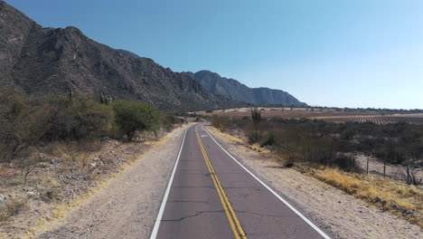 camino del desierto a través de un valle con plantaciones de uvas para la producción de vino