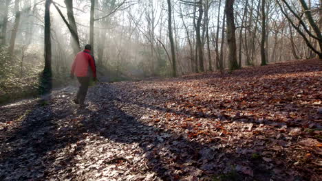 Hombre-Caminando-En-La-Escena-Del-Bosque-Bosque-Brumoso,-Cámara-Lenta,-Tiro-Ascendente-De-Foque