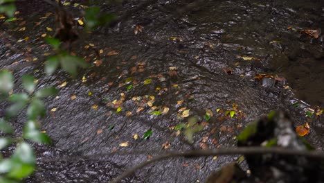 Beautiful-view-on-fallen-autumn-leaves-inside-cascading-waterfalls-inside-forest