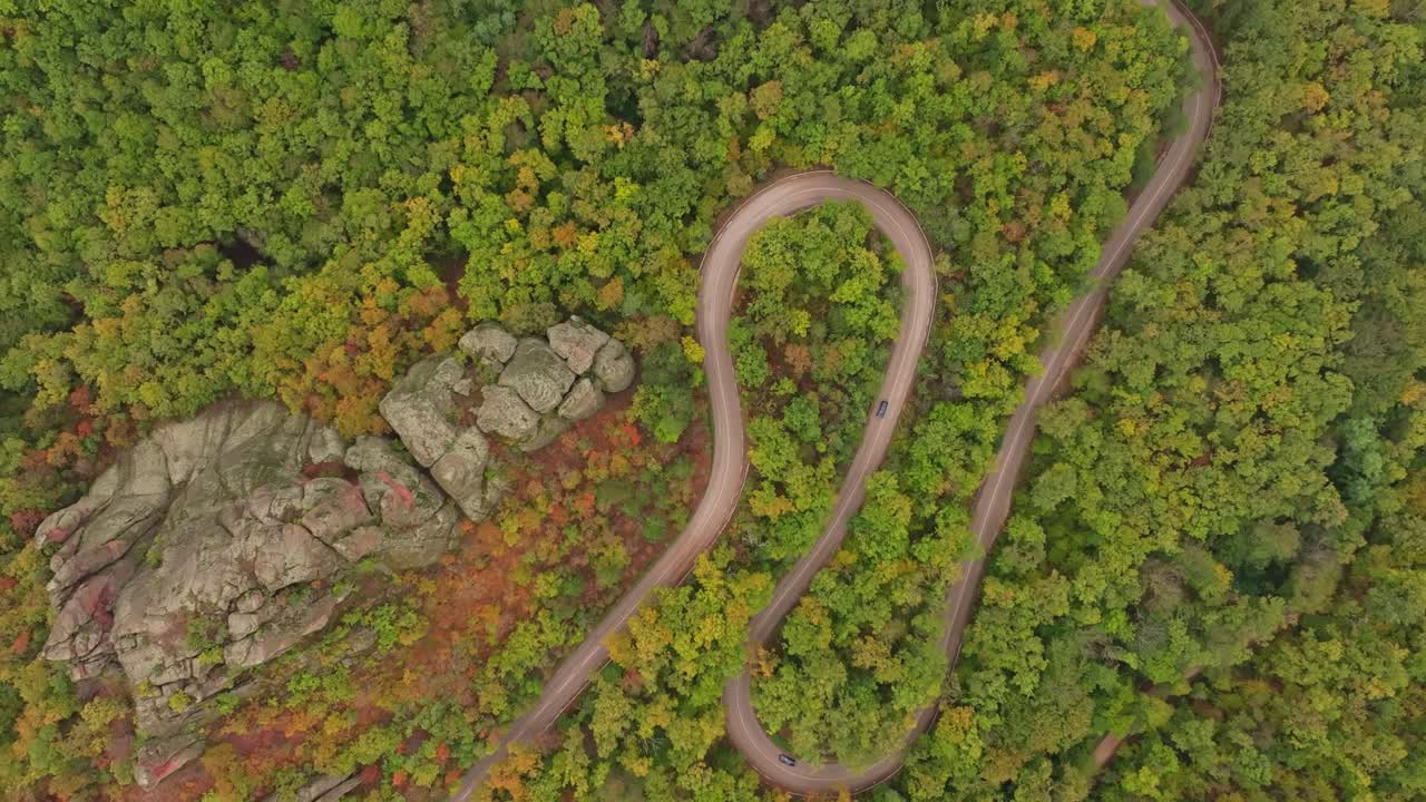 Cars drive along forest road with rich autumn tones, Bulgaria