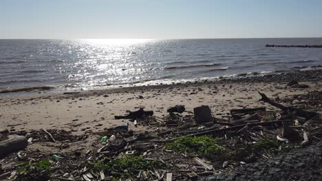 landscape at polluted river plate, argentina buenos aires waterfront beach with wood, plastic at sunrise skyline background in costanera sur, ecological reserve