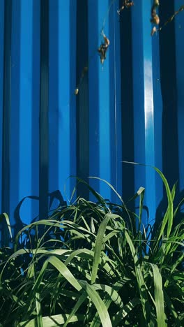 blue container wall with grass