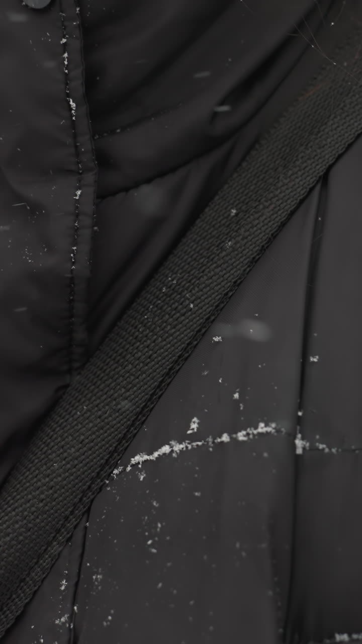 primer plano de una mujer ajustando la correa de una chaqueta de invierno negra con copos de nieve en la ropa y el cabello, destacando el clima frío, el fondo presenta árboles de otoño borrosos en un parque cubierto de nieve