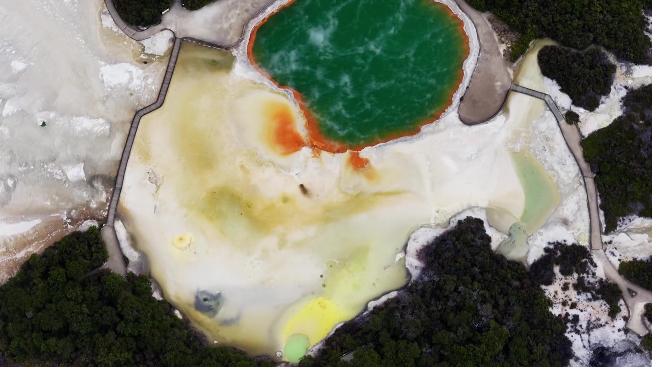 Pohled z dronu shora na geotermální terén Rotorua, kde hustý původní les obklopuje světlé minerální útvary, kouřící jezírka a klikaté stezky napříč nadpozemskou sopečnou krajinou.