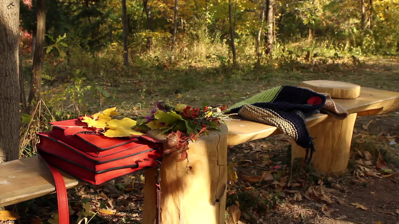 가을 색으로 벤치에 빨간 가방이 있는 정원 장면