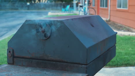 varias tomas de pollo a la parrilla y cocinado en una parrilla de barbacoa estilo apartamento