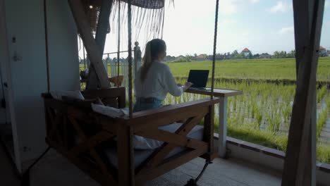 a young european girl in a blue dress remotely online working on laptop and looking into the screen on the backyard with green plants