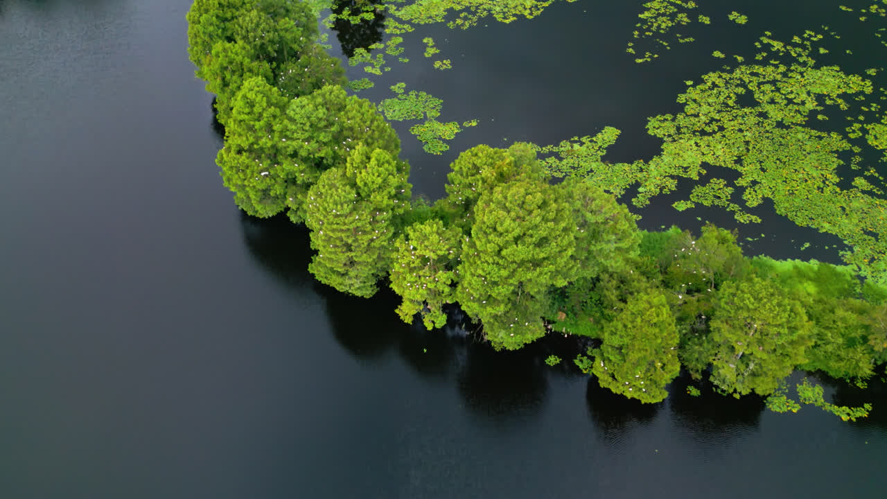 Aerial pull back and tilt up over a small green tree island set in calm river waters revealing a neighborhood along the shoreline