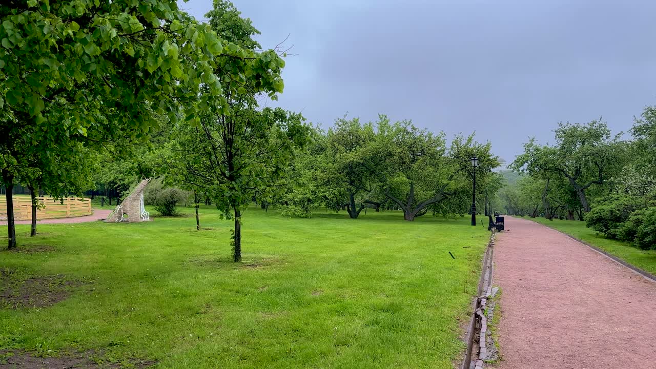 Rainy early morning in a deserted park (4K 60 fps, in motion)