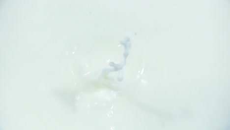 milk splash