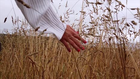 la mano de una joven acariciando en cámara lenta los cultivos secos de trigo en la costa