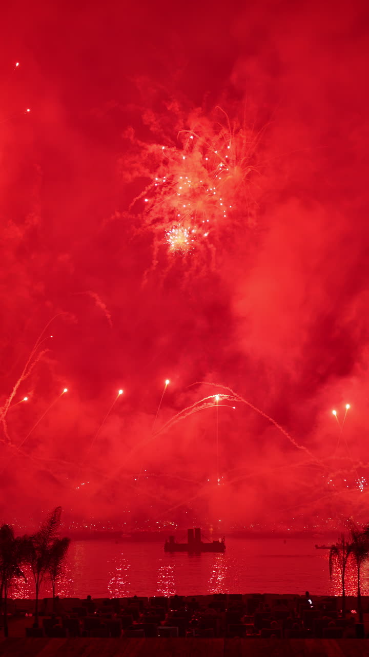 Fireworks on the sky at the Cannes Fireworks Festival at night. Vertical