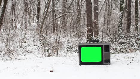 snowing in the forest and vintage tv with green screen on the ground