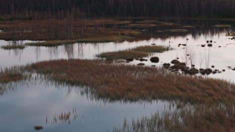 panoramic-drone-shot-captures-an-overgrown-lake-during-the-enchanting-golden-hour-of-autumn