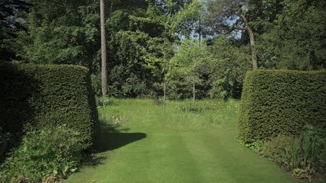 Caminando-Por-Un-Jardín-Verde-Que-Revela-Un-Jardín-Secreto-De-Flores-Silvestres