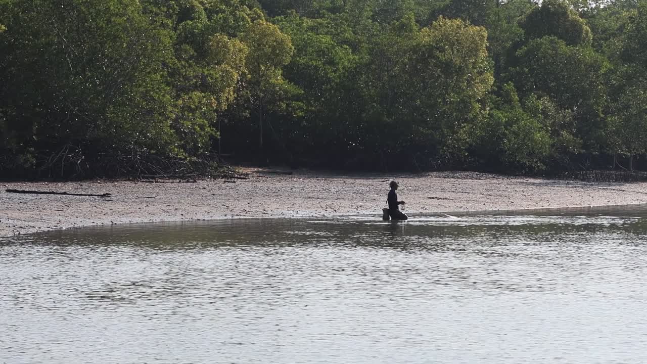 En ensom fisker står i lavt vand og kaster et net nær en frodig mangroveskov