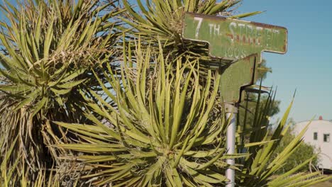 Old 7th street road sign again&#039;t palm tree and blue sky in the desert