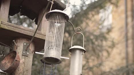 bird feeders hang from bird table in garden