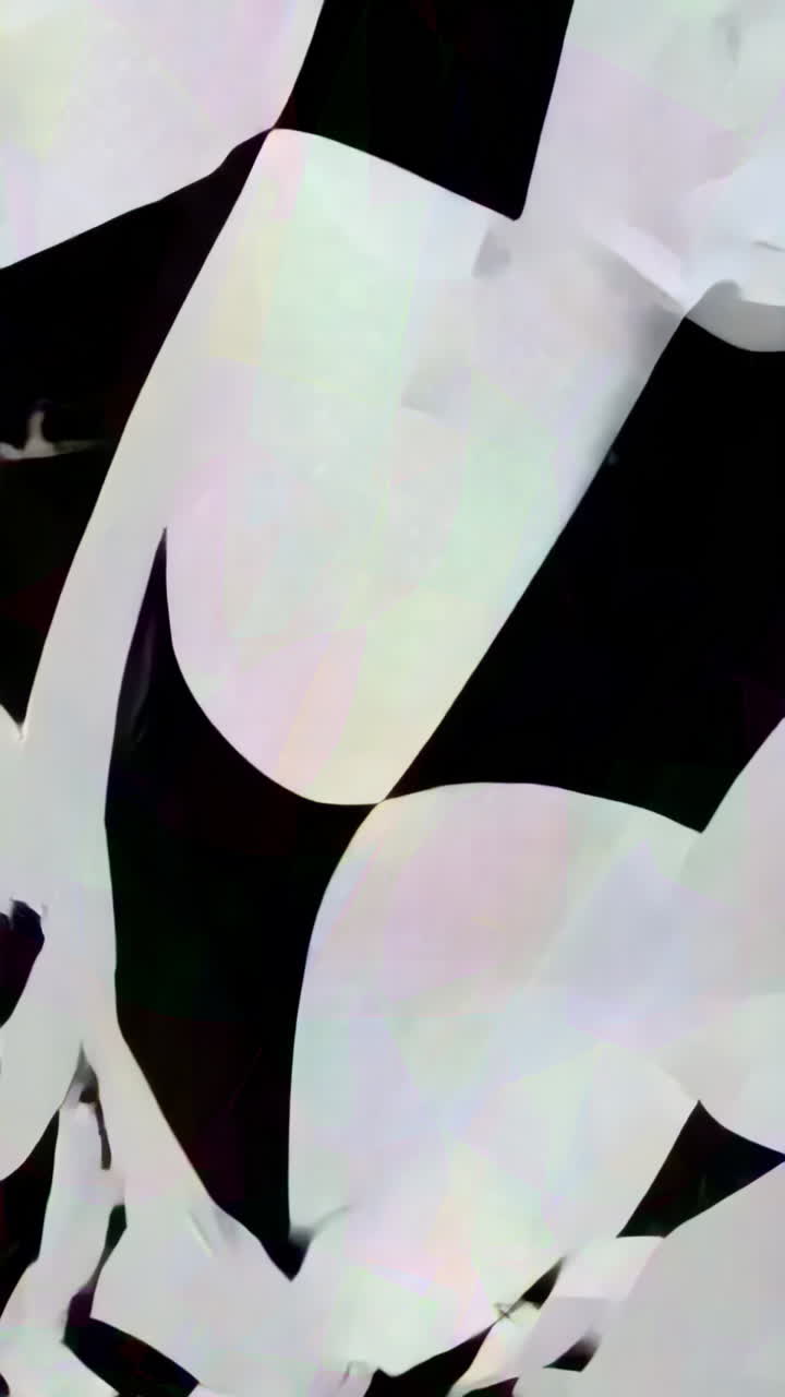 Abstract Black and White Geometric Art