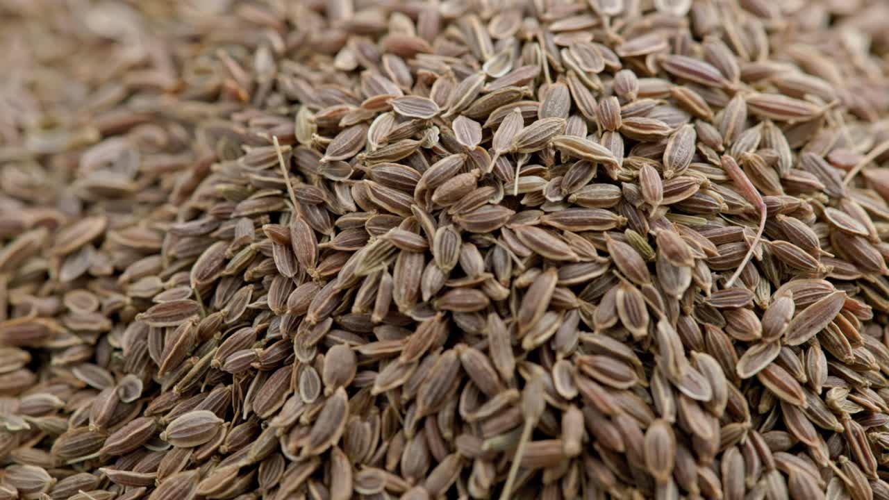 dry dill seeds pile, slow rotating looped background