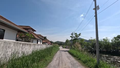 a peaceful walk down a suburban street