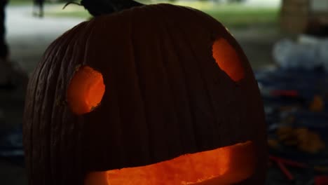 pumpkin carving shots in the afternoon