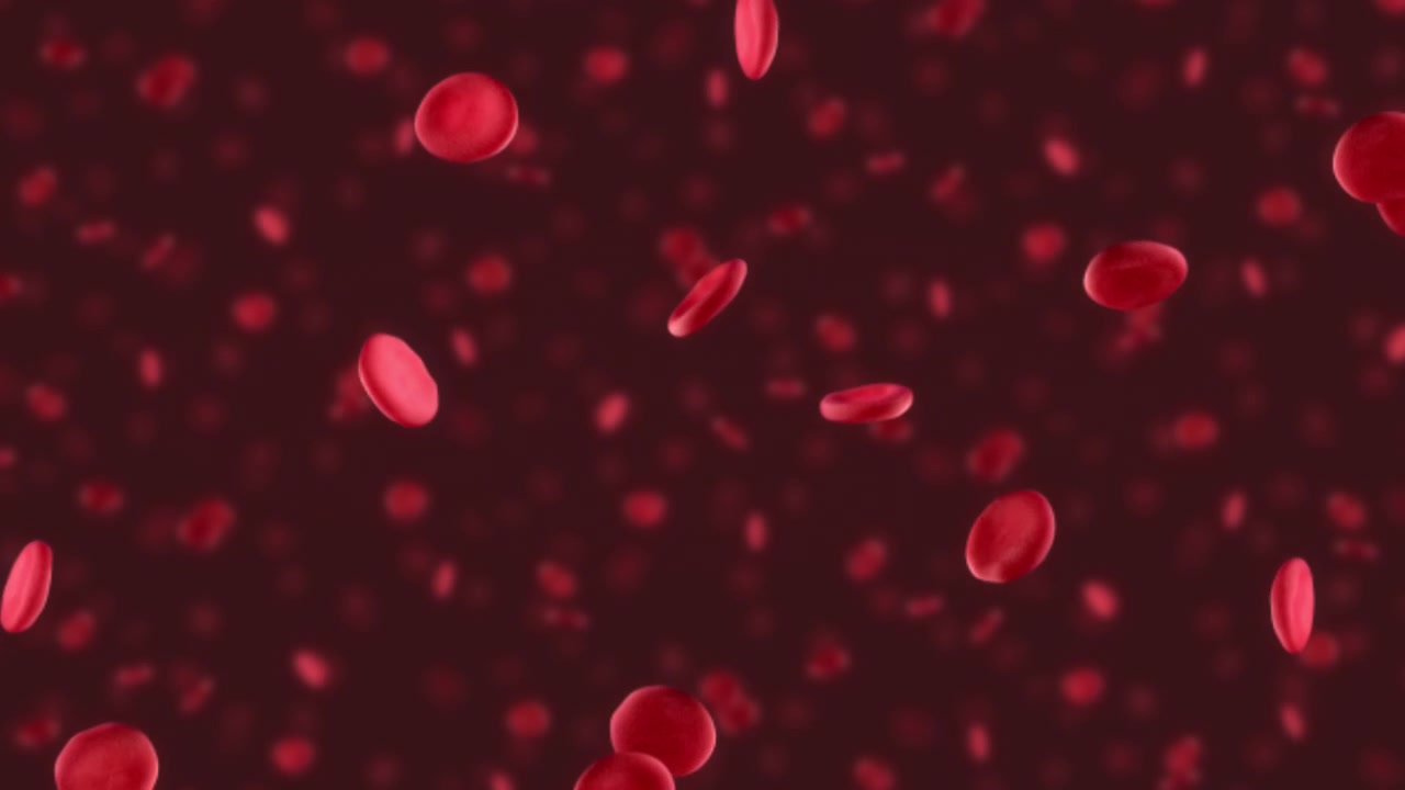 Red Blood Cell body zoom in. This medical 3D animation zooming into red blood cells can also be used in reverse if you need to zoom out.