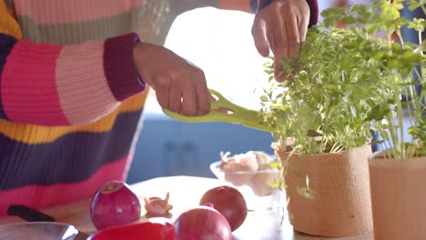 Montaje-De-Una-Feliz-Mujer-Afroamericana-Relajándose-Y-Preparando-Comida-En-Casa,-En-Cámara-Lenta