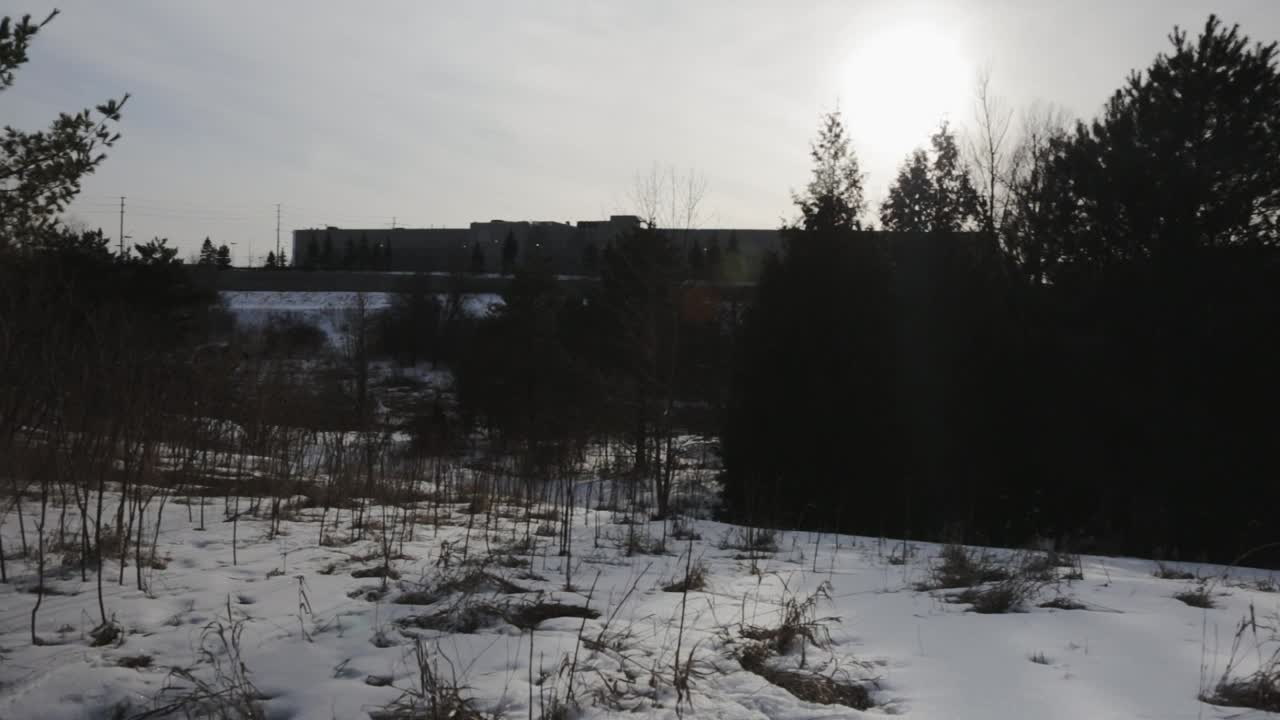 toma panorámica a lo largo de un sendero salvaje en un entorno urbano