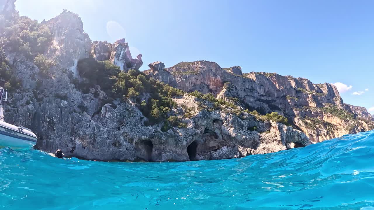 Underwater School of Fish in Crystal Clear Water