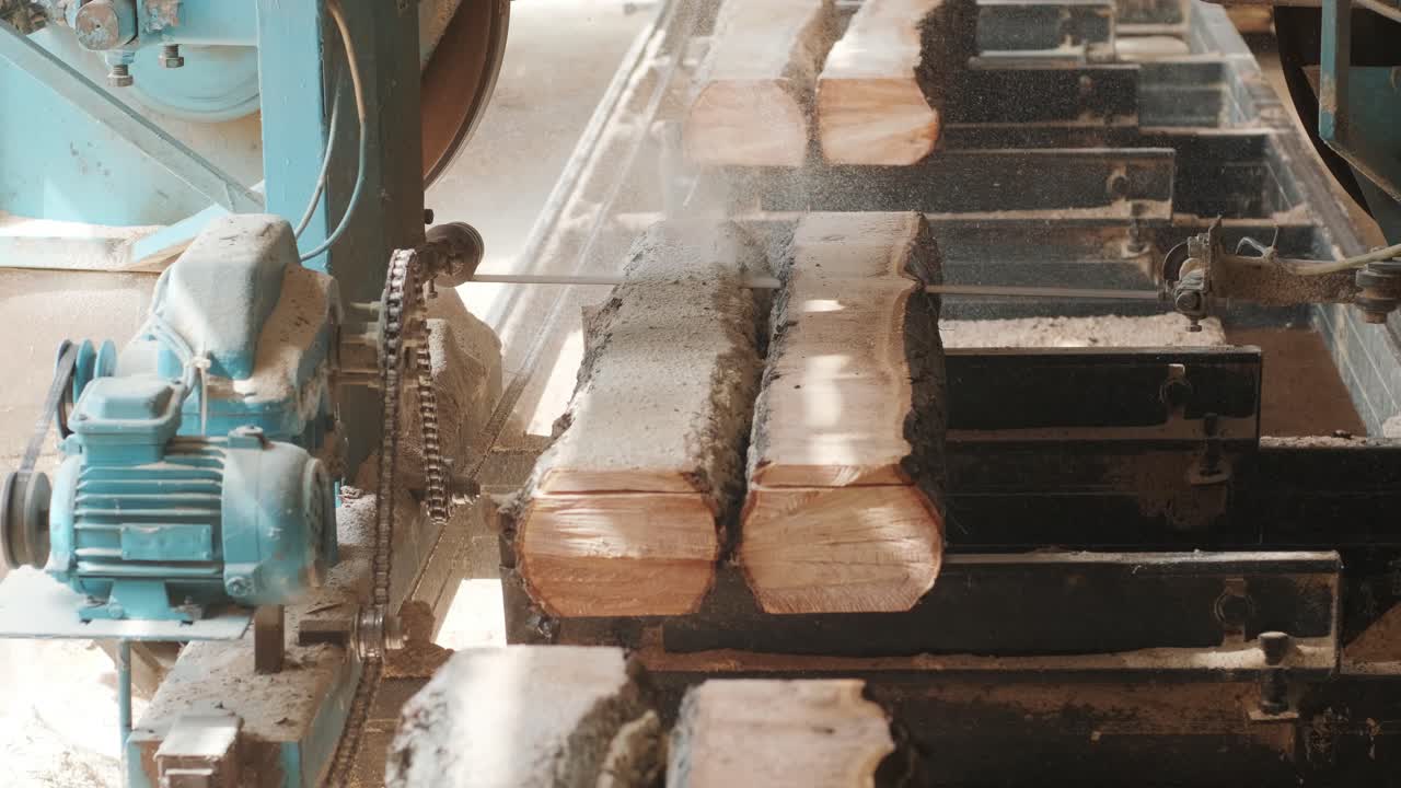 Closeup of cut pine tree log on sawing machine at wood production factory. Timber material processing and cutting at sawmill. Manufacturing process at lumber mill. Sawing woods on power machine