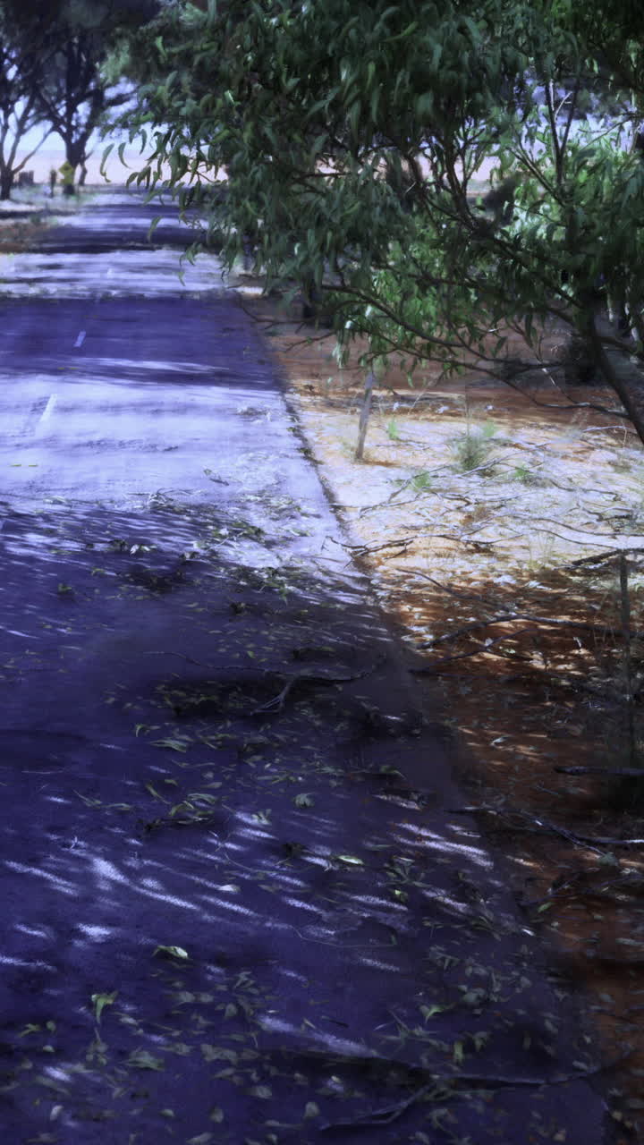 Camino cubierto de hojas cerca de árboles en un parque durante el día