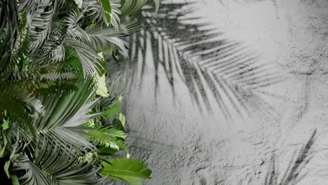 tropical green palm leaves on the left with leaf shadows on a textured white wall. natural jungle foliage composition. flat lay composition with copy space. summer and nature, wallpaper vertical