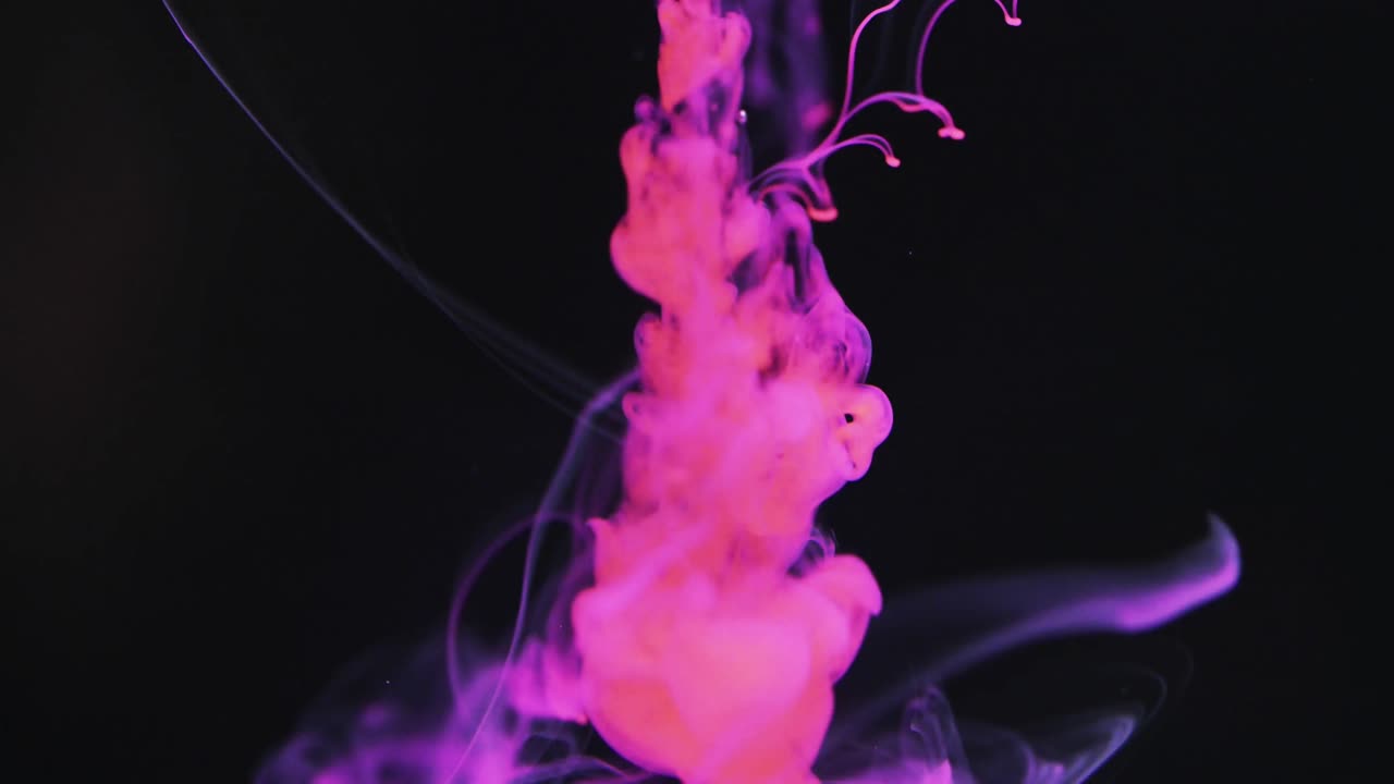 animación de texto y formas de venta instantánea sobre fondo negro