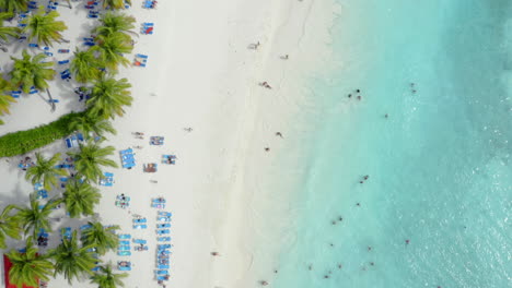 tourists swimming o a beautiful white sand beach, the dominican republic, aerial top down