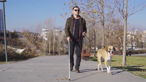 blind man walking with his dog in the park.