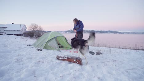 man putting rope leash on alaskan malamute during their camping trip