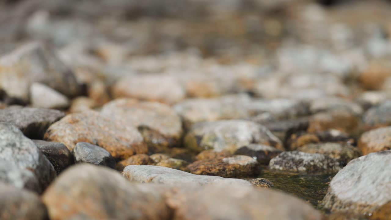 Primo piano di un ruscello poco profondo che scorre lentamente su un alveo roccioso.