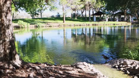 lakeside morning view at floyd lamb state park in las vegas