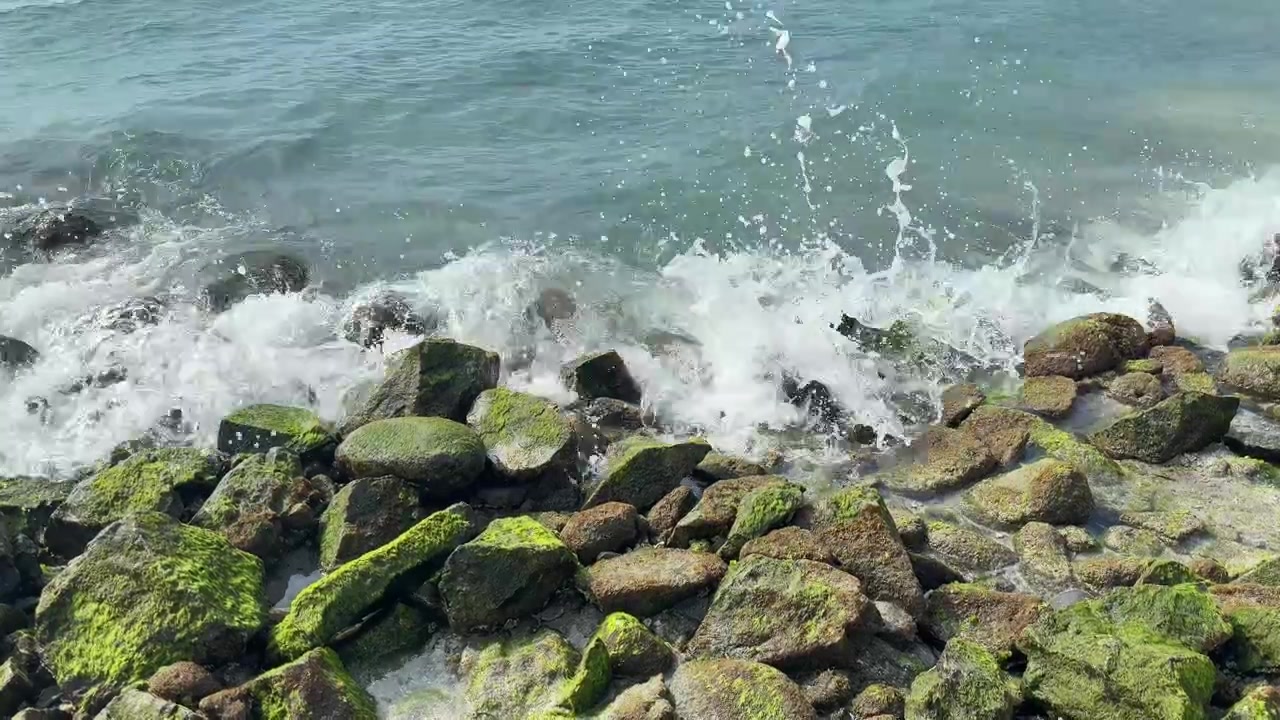 Onde dell'oceano che si infrangono contro rocce muschiose sulla costa