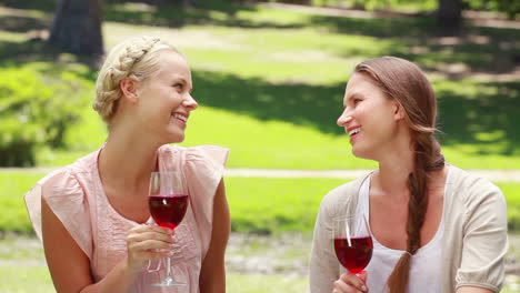 two women having wine in the park as they talk to each other