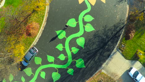 a unique rising aerial over a neighborhood with the street painted as a large flower