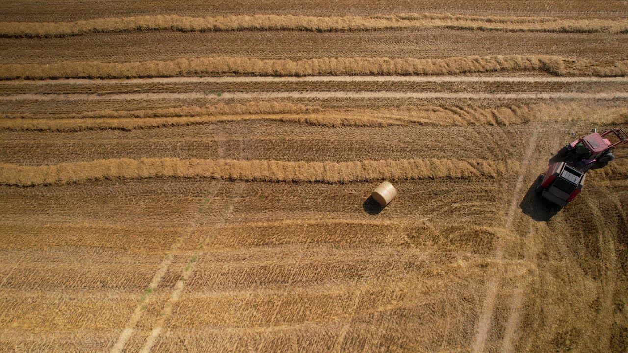 Sunlit Harvest in Poland: Drone's Gaze on Red Combine Amidst Ripe Wheat