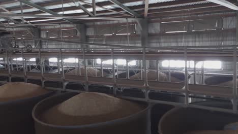 hoppers full of grain and a belt conveyor in operation