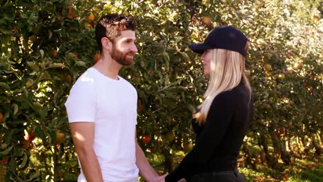 couple interacting each other in apple orchard