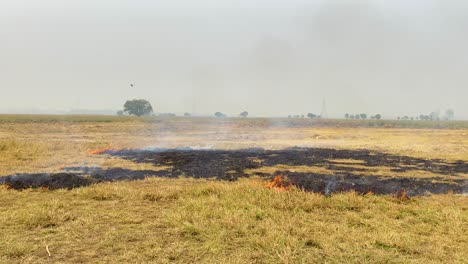 Grass-burns-on-open-field-during-drought-in-Bangladesh,-slow-pan