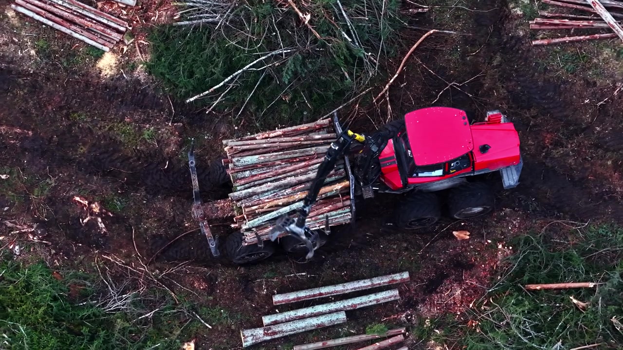 Heavy forwarder machine maneuvering and loading timber in a deforested area