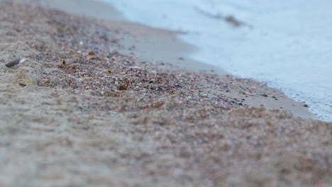 Weicher-Sandstrand-Und-Sanftes-Wasser